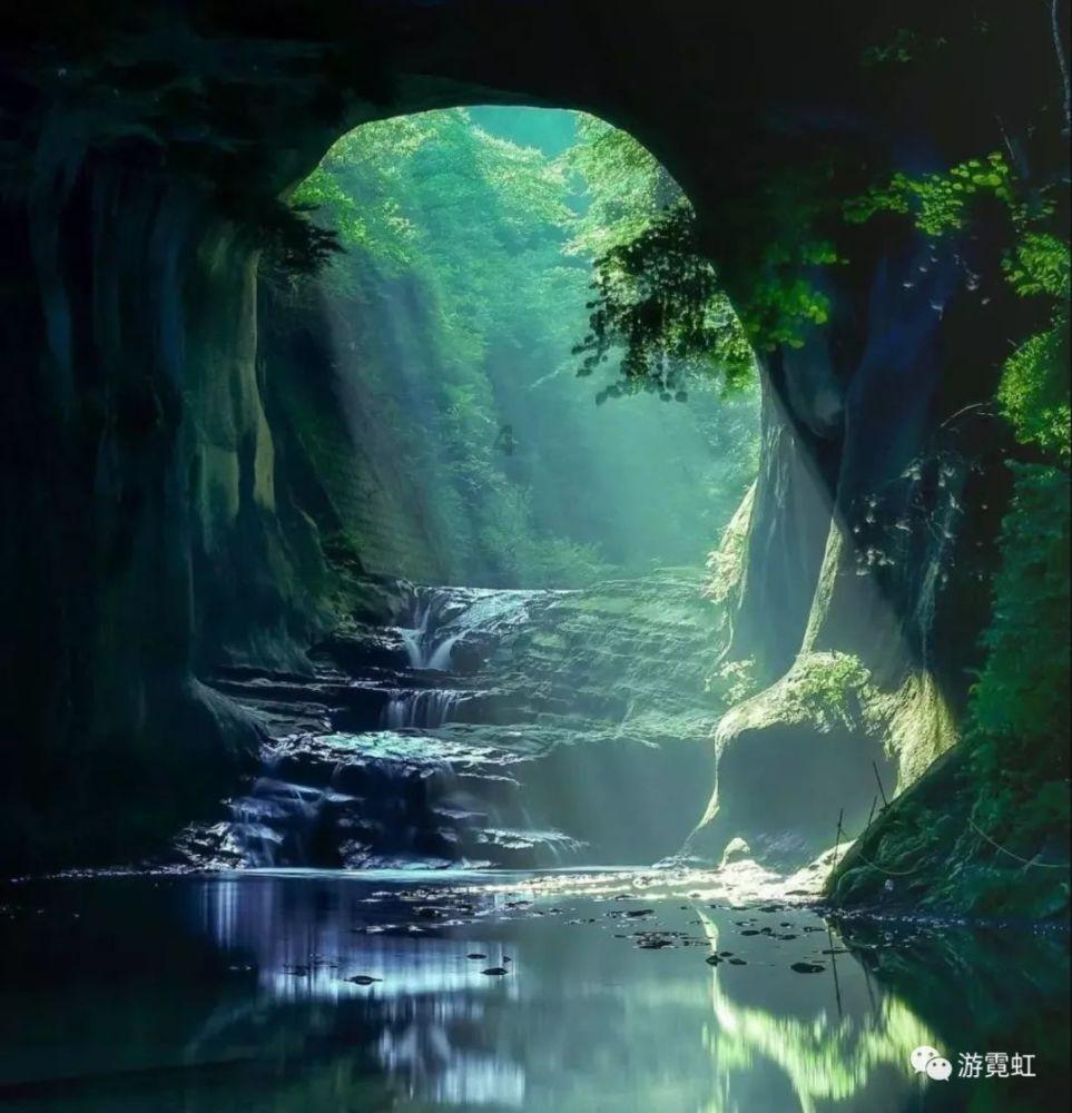 超能动物联盟