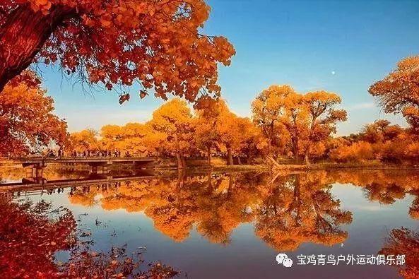 发现冷知识尽在欧洲杯小组赛德国击败葡萄牙,主要是什么原因呢?