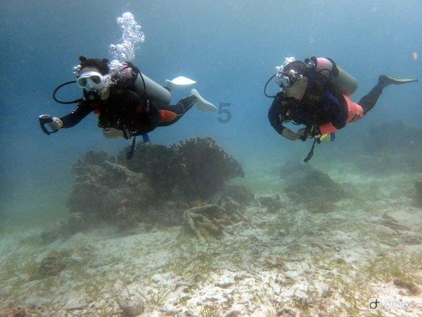 30秒丨电力工人踏雪寻检 保障电网安全稳定运行