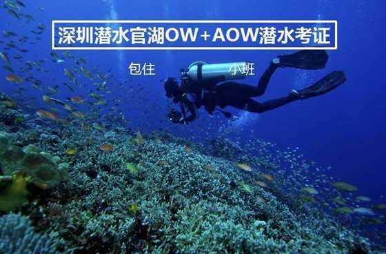 北上男主到底是谁游戏画面