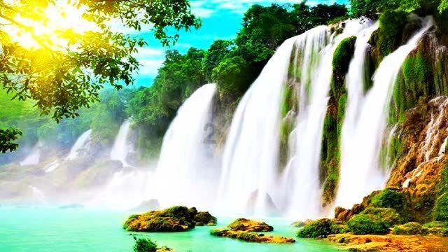 快刺水果