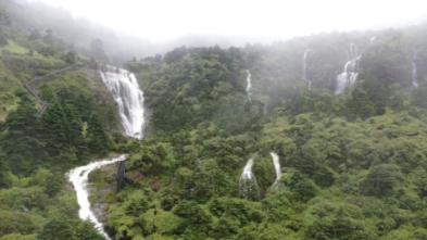逃离宝藏岛屿